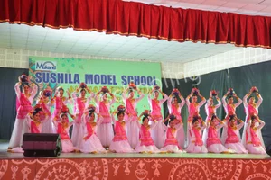Sushila Model School Gallery 8