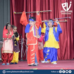 Platinum Valley International School Gallery 2