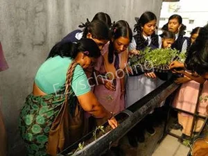 Donald Memorial High School Gallery 1