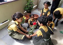 Sasa - The School Gallery 10