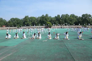 Sunflower School Gallery 17