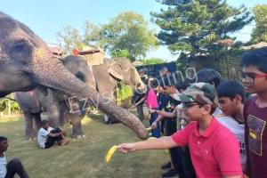 Step By Step School Gallery 22