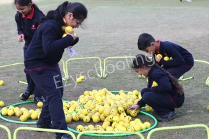 Step By Step School Gallery 12