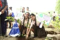 Apeejay School Gallery