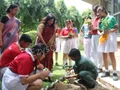 Apeejay School Gallery