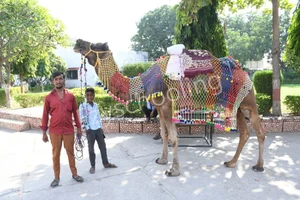 G S Jangid Memorial School Gallery 28