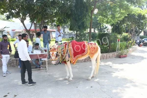 G S Jangid Memorial School Gallery 24