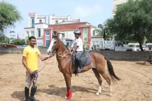 Divine International School Gallery 12