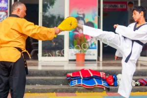 Radcliffe School Gallery 31