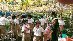 Radcliffe School Gallery 1