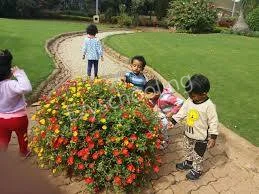 New Excellent English Primary And High School Gallery 4