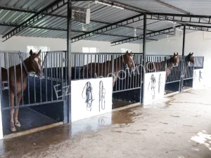 Vijaybhoomi Junior College Gallery 13