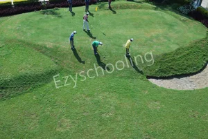 Delhi Public School Gallery 11