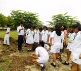 Delhi Public School Gallery