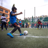 Orchids The International School Gallery