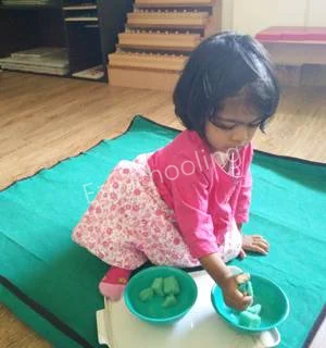 Unicus Montessori School Gallery 12