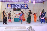 Mata Vidya Devi Public School Gallery