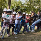 Cyboard School Gallery