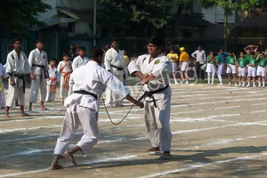 The Modern Academy Gallery 7