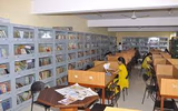 Indiranagar Composite PU College Gallery