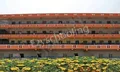 SVN English School Gallery