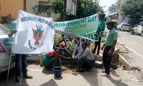 Nightingales English High School Gallery 1