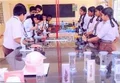 Bright Public School Gallery