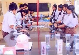 Bright Public School Gallery 4