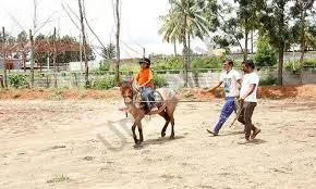 First Steps School Gallery 2