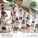 The School For Global Minds Gallery