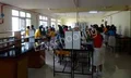 Bright Public School Gallery