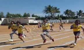 The Polaris International School Gallery 2