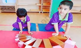 Brainy Stars International Holistic Montessori And School Gallery