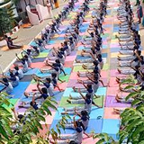 Sunshine Public School Gallery