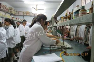 Dreamland School Gallery 5