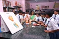 SEA Primary And Higher Secondary School Gallery