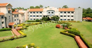 Green Lite Public School Gallery 3