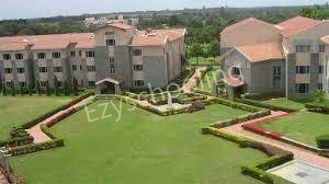 Green Lite Public School Gallery 2