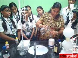 Harmony International School Gallery 2