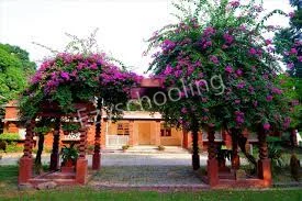 Rajghat Besant School Gallery 2