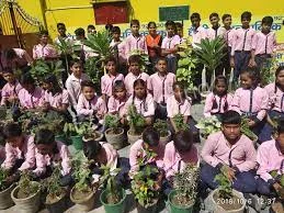 Happy Children Public School Gallery 3