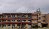 Apeejay School Gallery