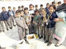 Happy Senior School Gallery 12