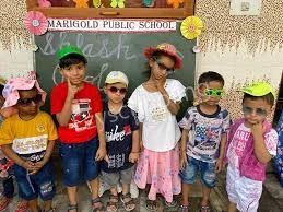 Marigold Public School Gallery 3