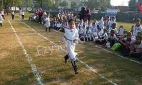 Shemrock Grassroots Gallery 5