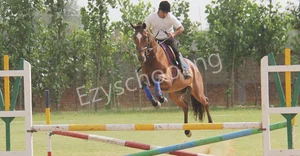 Shreejee International School Gallery 8