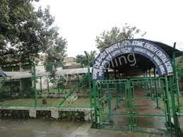 Atomic Energy Central School-1 Gallery 4