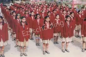 Cosmos School Gallery 3