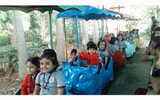 Dolphin Kids Pre- School And English Primary School Gallery