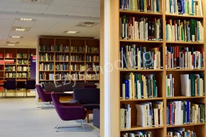 Krishna Public School Gallery 8